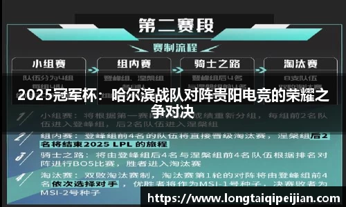 2025冠军杯：哈尔滨战队对阵贵阳电竞的荣耀之争对决